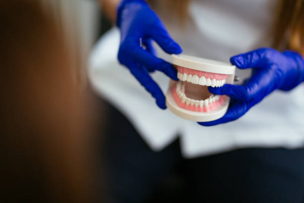 Trusted Geraldine, AL Holistic Dental Care Services Experts